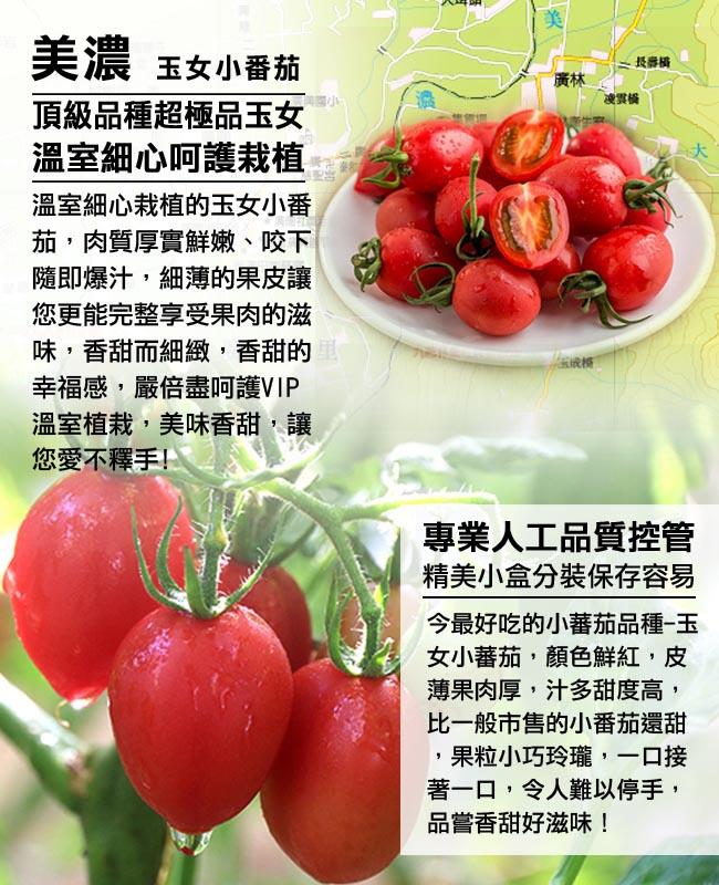 果之家 高雄美浓严选玉女小番茄8盒入(每小盒1台斤)