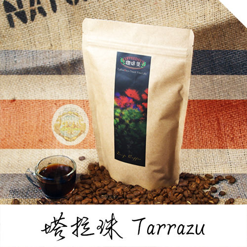 【咖啡集CoffeeDays】哥斯大黎加 塔拉珠Tarrazu咖啡豆(450g/半磅x2入)  