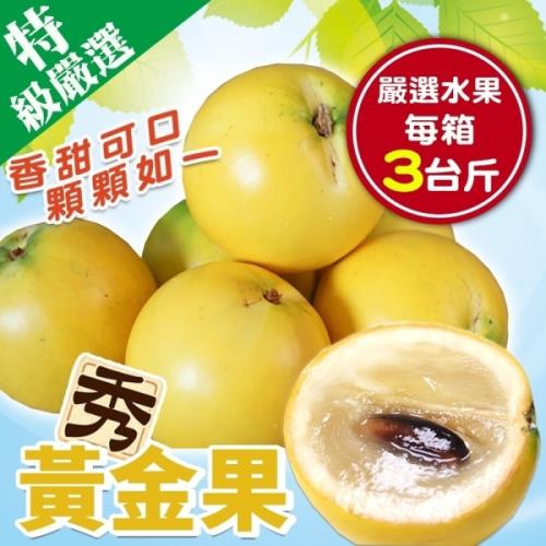 果物樂園-台灣黃金果(3斤±10%含箱重)