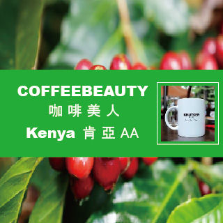 【KNUTSEN】咖啡美人_肯亞AA精品豆(1磅/454g)  