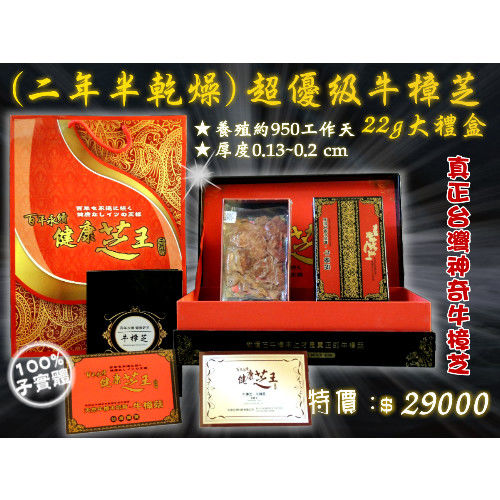【百年永續健康芝王】牛樟芝/菇(二年半超優級) 乾燥品 (22g 大禮盒)  