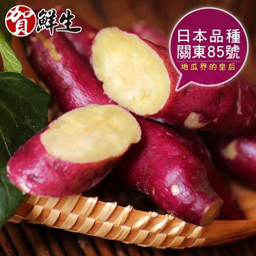 【賀鮮生】日本團購美食-紫皮奶香栗子地瓜10包(1kg/包)  