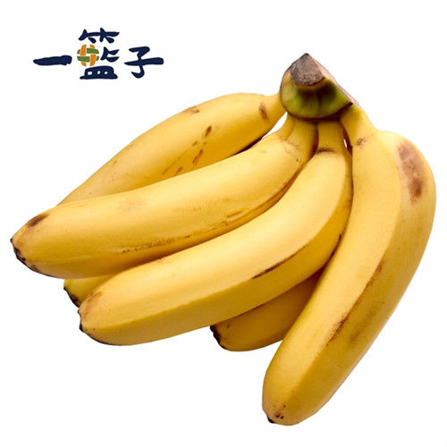 《一籃子》旗山特級安全香蕉(2把/約8斤)  