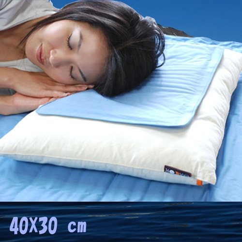 《C&B》GEL MAT 30*40CM節能清涼枕頭墊二入