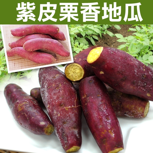 【築地一番鮮】紫皮栗香黃金地瓜4包組(500g/包)