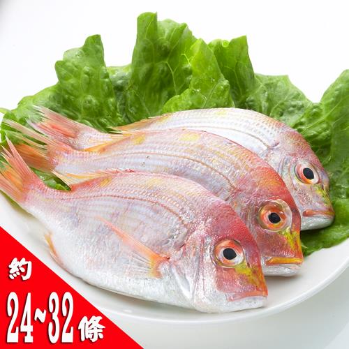 【鮮味達人】現流赤宗鮮魚(8斤)嚐鮮組