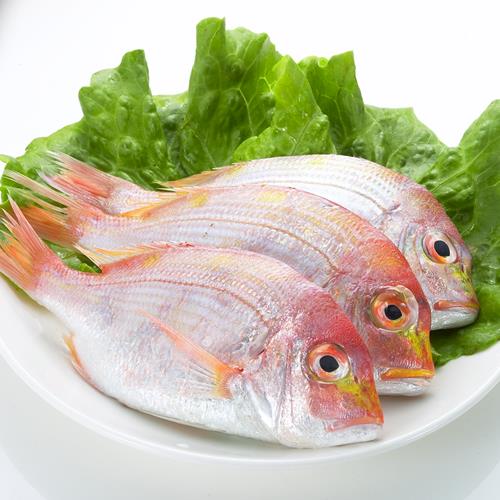 【鮮味達人】現流赤宗鮮魚8條（250g±10％／條）嚐鮮組