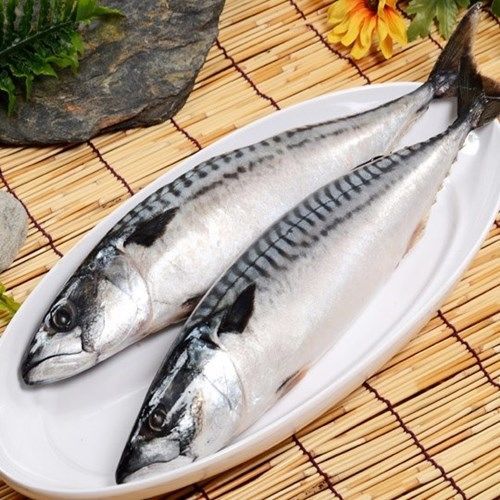 【華得水產】挪威鯖魚4尾 (600g/包/整尾)