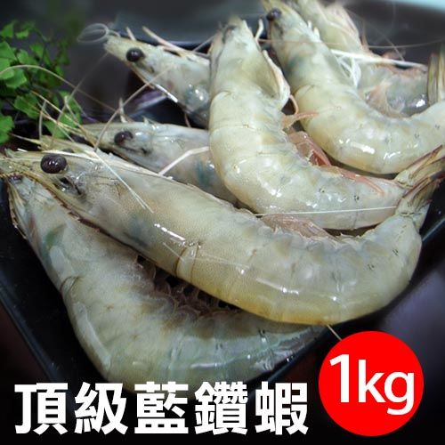 【築地一番鮮】頂級藍鑽蝦1KG免運組(約40-50隻)