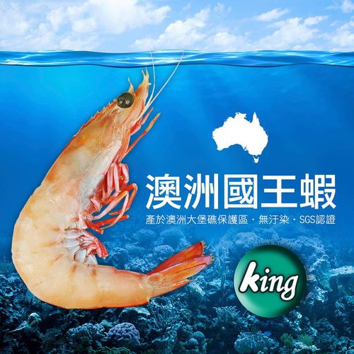 築地一番鮮 澳洲大堡礁野生國王蝦2包(1kg/包/12-16隻)