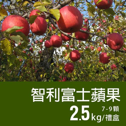 【築地一番鮮】特大智利富士蘋果3盒(2.5kg/禮盒/7-9顆)