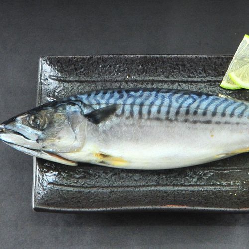 漁季 挪威整尾鯖魚(300/包)*10