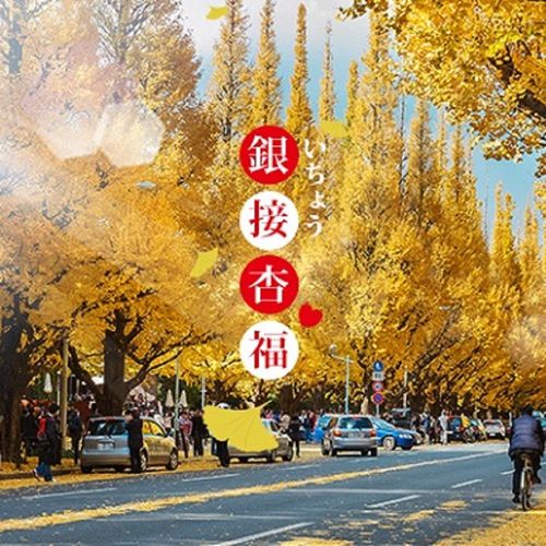 東京賞楓銀杏輕井澤巨蛋燈節高尾山纜車5日(10-1月出發)