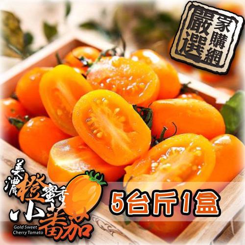 【家購網嚴選】美濃橙蜜香小蕃茄5斤/盒