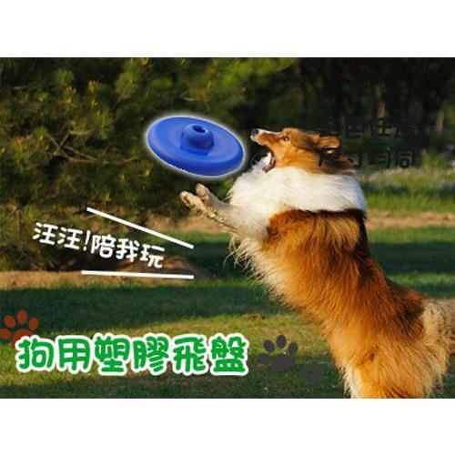 寵物飛盤 狗狗玩具 狗用塑膠飛盤(2入組)