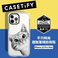 Casetify iPhone 12 Pro Max 耐衝擊保護殼-躲貓貓