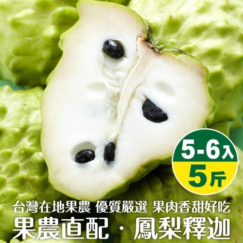 果農植配-鳳梨釋迦(5-6顆_約5斤/箱 )