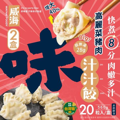 【威海Way Hai】28g超大顆高麗菜豬肉水餃 鮮Ｑ手作汁汁餃 x2盒(20顆/560g/盒) 