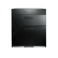 (含基本安裝)莊頭北【TD-3662】60cm臭氧殺菌黑玻落地烘碗機