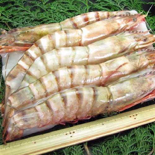 【寶島福利站】巨型特級鮮凍海虎蝦3盒（1000g/盒，4-6尾）