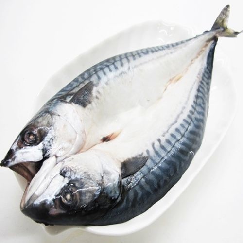【華得水產】挪威特大鯖魚4尾(480g/包/整尾)