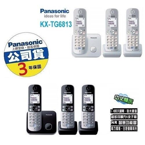 Panasonic DECT節能數位無線電話 KX-TG6813