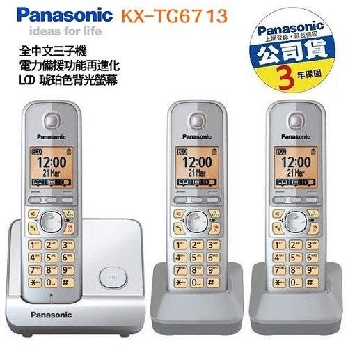 Panasonic DECT節能數位無線電話 (銀色) KX-TG6713