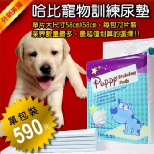 哈比狗狗訓練尿布墊1包 x 72片