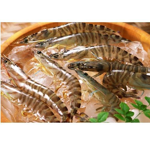 [漁季]頂級野生花蝦美味嘗鮮組
