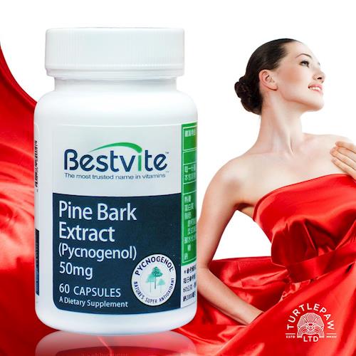 【美國BestVite】必賜力法國松樹皮萃取精華膠囊1瓶 (60顆)