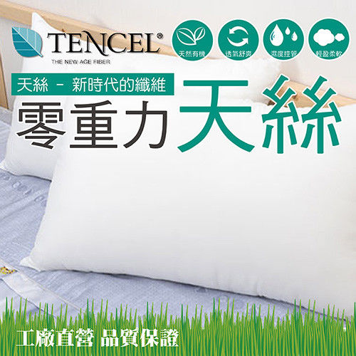 【Embrace英柏絲】透氣輕柔TENCEL天絲枕 奧地利進口原料 台灣製 42x72cm 枕頭