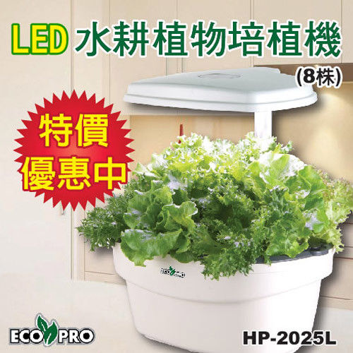 Ecopro大成長 LED室內水耕植物培植機(8株)
