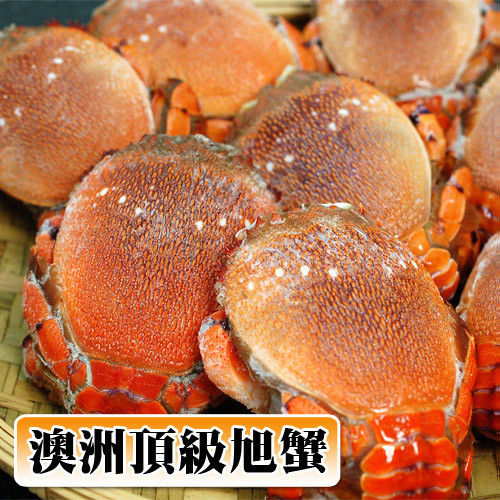 【築地一番鮮】澳洲母旭蟹20-25隻/3kg組(3kg家庭豪華聚餐組)