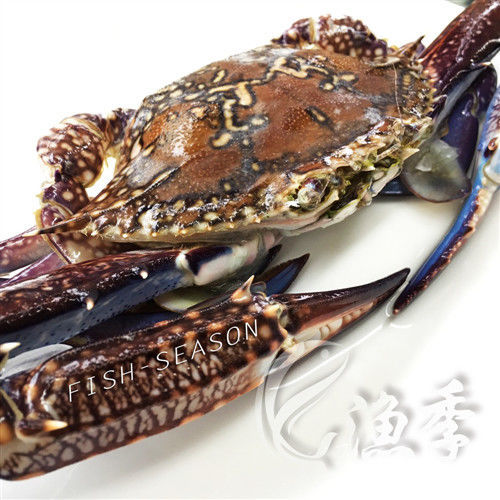 【漁季】鮮凍斯里蘭卡花蟹6隻(175g/隻)