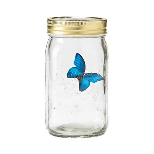 賽先生科學工廠｜Butterfly jar仿生蝴蝶罐--迷幻藍 