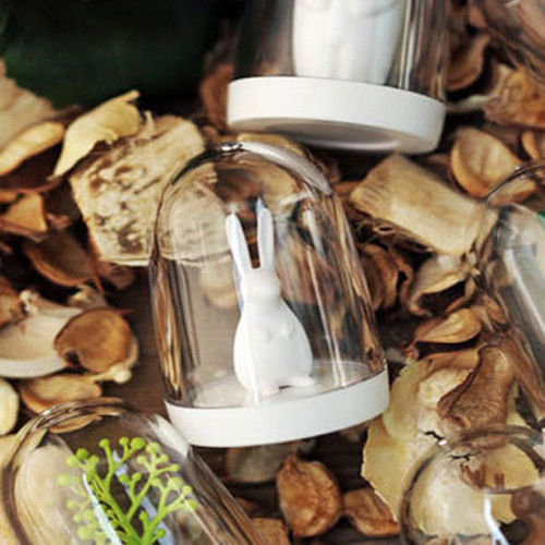 【挪威森林】療癒系設計透明調味罐/香料瓶動物樂園(四入)