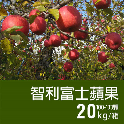 【築地一番鮮】智利富士蘋果100-133顆/20kg/箱