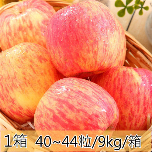 【一等鮮】智利蘋果1箱〈40~44粒/9公斤/箱〉