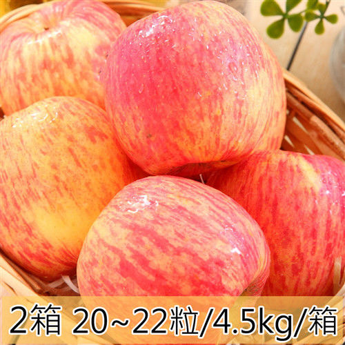 【一等鮮】智利蘋果2箱〈20~22粒/4.5公斤/箱〉