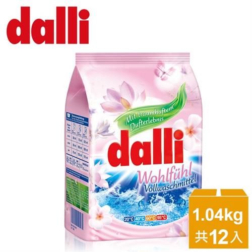【德國達麗Dalli】好感覺全效濃縮花香洗衣粉1.04kg(12入/箱)