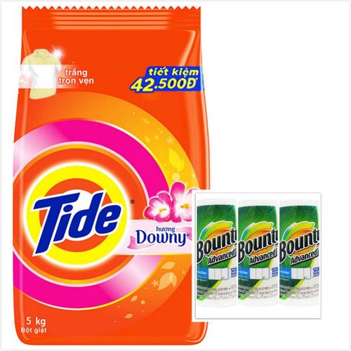 【Tide】洗衣粉-含Downy(5kg*1)+【美國 Bounty】萬用廚房紙巾(117張*3捲)