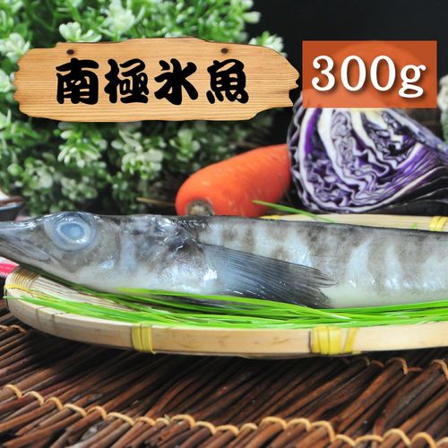 任-【漁季】南極冰魚1包(300g/包)