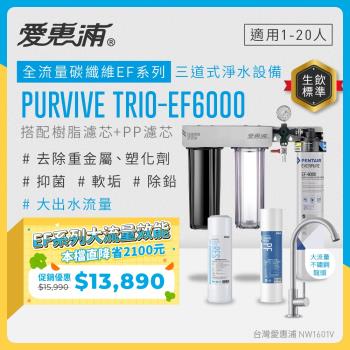 EVERPURE愛惠浦 櫥下型 PURVIVE Trio-EF6000大流量不鏽鋼龍頭三道式生飲淨水器(前置樹脂+PP)