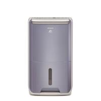 HITACHI日立 一級能效11公升清淨型除濕機 RD-22FC-庫