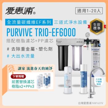 EVERPURE愛惠浦 櫥下型 PURVIVE Trio-EF6000大流量不鏽鋼龍頭三道式生飲淨水器(前置樹脂+PP)