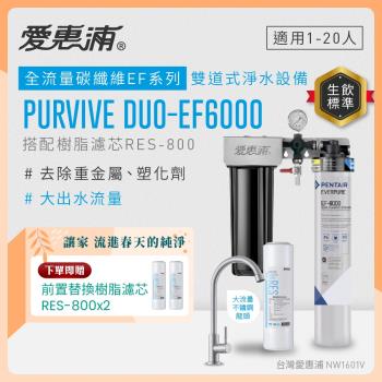 EVERPURE愛惠浦 櫥下型 PURVIVE Duo-EF6000大流量不鏽鋼龍頭兩道式生飲淨水器(前置樹脂)