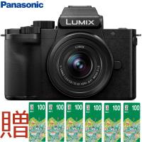 Panasonic 國際牌 LUMIX DC-G100D 12-32mm變焦鏡組 G100DK (台松公司貨)