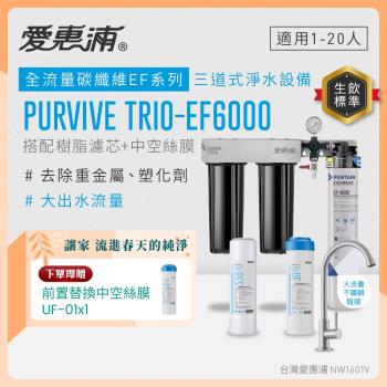 EVERPURE愛惠浦 櫥下型 PURVIVE Trio-EF6000大流量不鏽鋼龍頭三道式生飲淨水器(前置樹脂+中空絲膜)