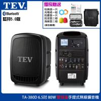 TEV 台灣電音 TA-390D 6.5吋80W (雙頻)手提式無線擴音機 六種組合任意選購