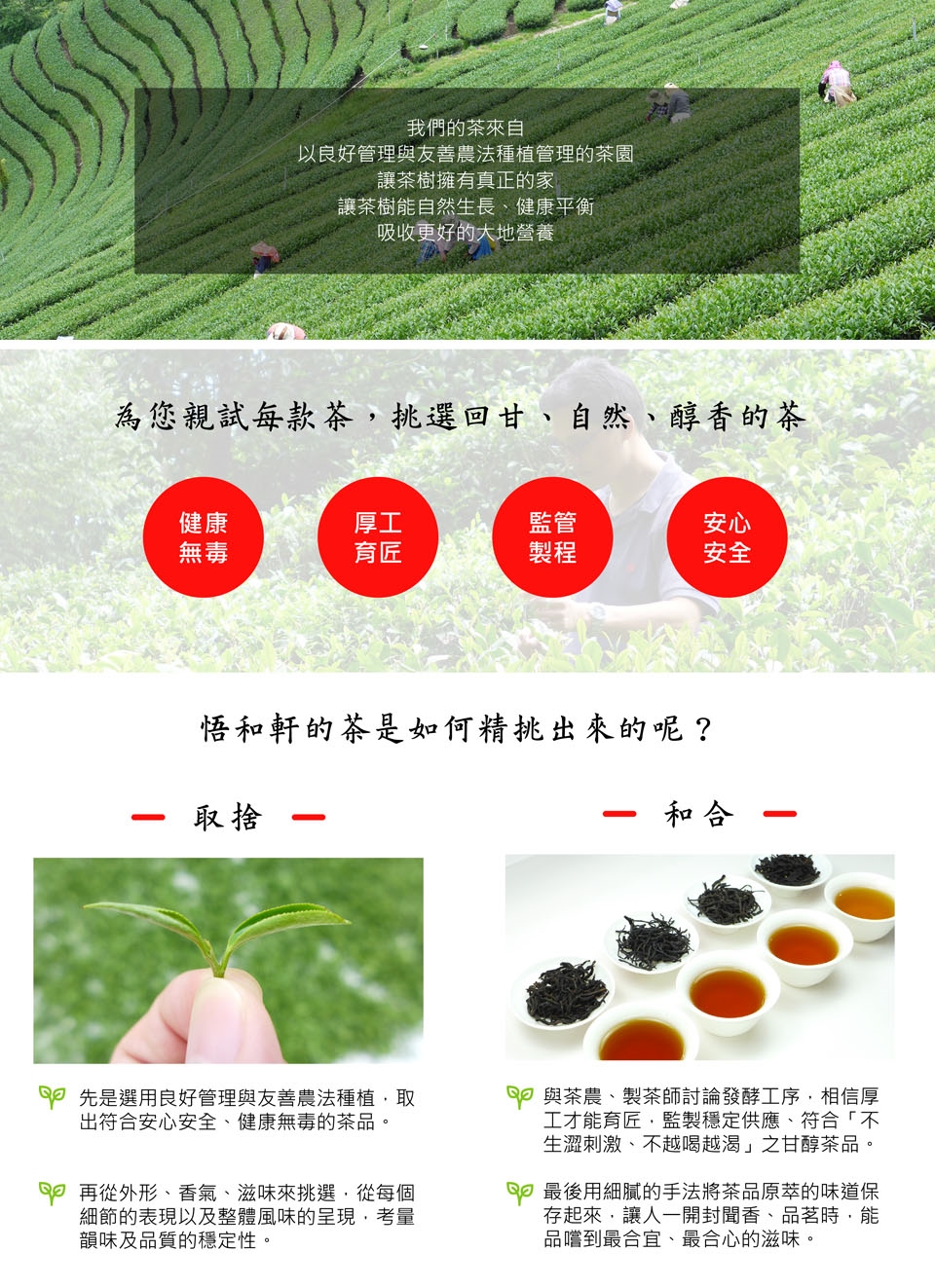 悟和軒 阜矞 蜜韻紅烏龍 150g 罐 烏龍茶 Etmall東森購物